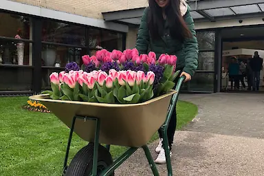 Jenny Jia – BDA Partners